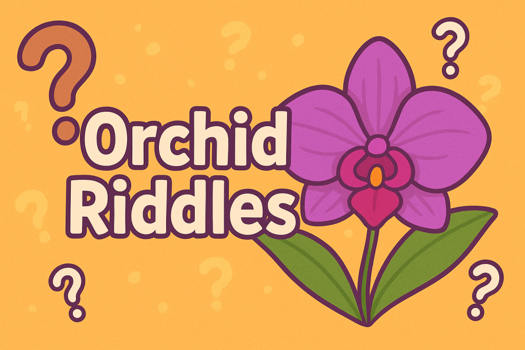 A banner image for riddlespot.com featuring Orchid Riddles